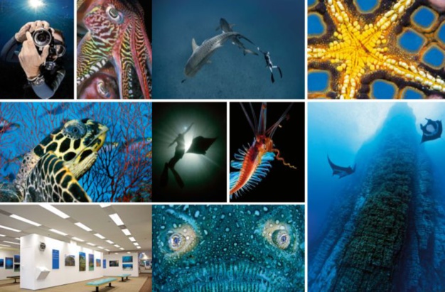 Blancpain : sauver les océans ! Blancpain : sauver les océans !