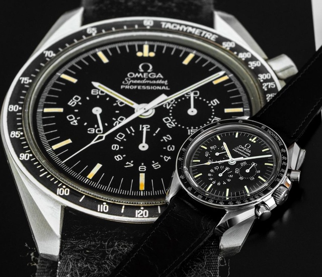 Copyright Watchfid Copyright Watchfid