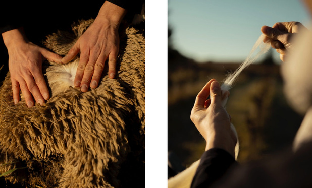 copyright atelier Tuffery copyright atelier Tuffery