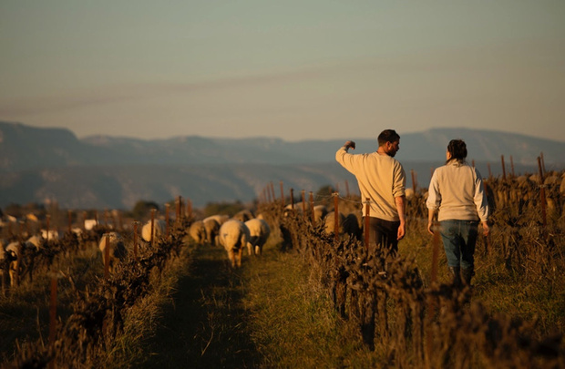 Quand le denim s'adoucit avec de la soie, du cachemire ou de la laine Mérinos Quand le denim s'adoucit avec de la soie, du cachemire ou de la laine Mérinos