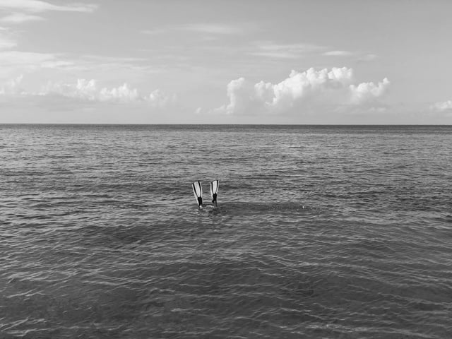 Photo Stella Ribeiro sur Unsplash Photo Stella Ribeiro sur Unsplash