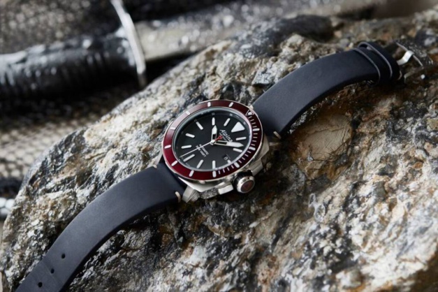 Alpina Seastrong Diver 300 Automatique Alpina Seastrong Diver 300 Automatique