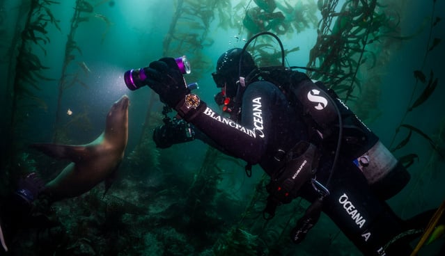 BOC_California’s Channel Islands Expedition © Jason_Heaton BOC_California’s Channel Islands Expedition © Jason_Heaton