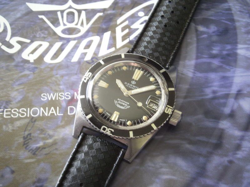 Squale : des montres de légende portées par les plus grands plongeurs