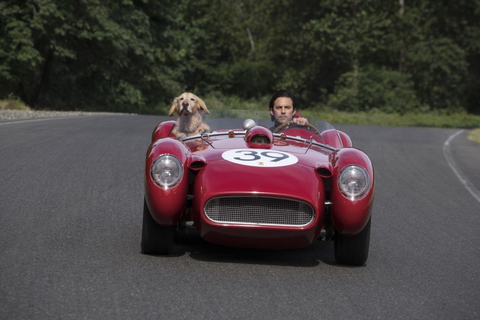 The art of racing in the rain Copyright 2019 Twentieth Century Fox Film Corporation. All rights reserved , Copyright