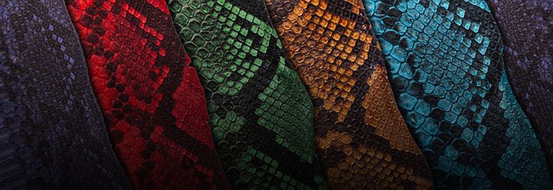 ABP Concept : du python de toutes les couleurs... ou presque !