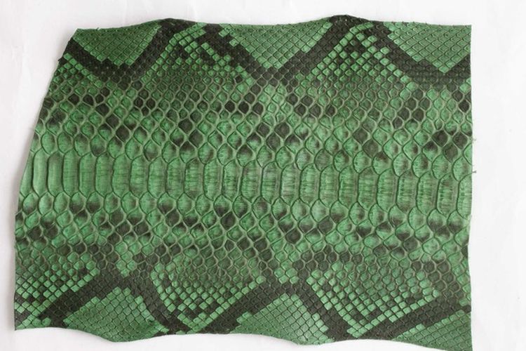 ABP Concept : du python de toutes les couleurs... ou presque !
