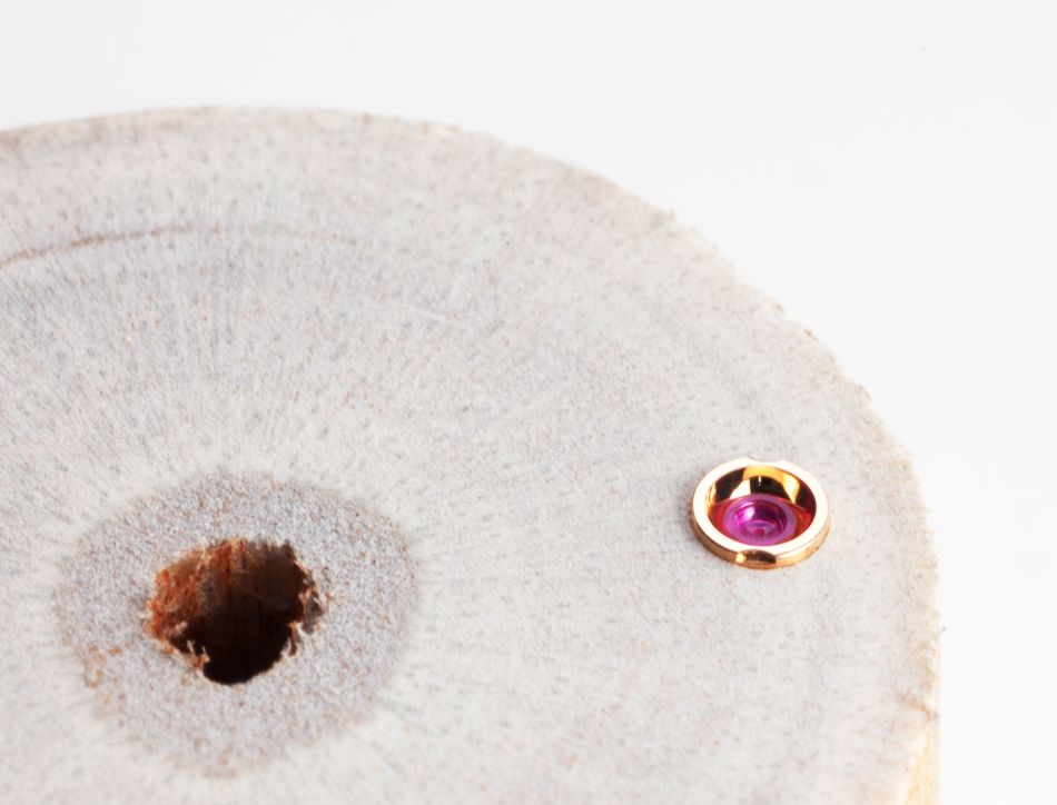 Ici en détail : les minuscules chatons en or sont pressés dans de la moelle de sureau pour être polis et frottés sur du papier de verre fin. Celui-ci a une taille de grain de cinq millièmes de millimètre. Ici en détail : les minuscules chatons en or sont pressés dans de la moelle de sureau pour être polis et frottés sur du papier de verre fin. Celui-ci a une taille de grain de cinq millièmes de millimètre.