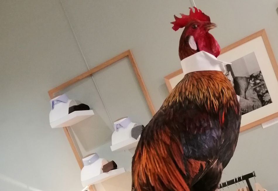 Daniel Lévy : de l'art de la chemise sur-mesure Daniel Lévy : de l'art de la chemise sur-mesure