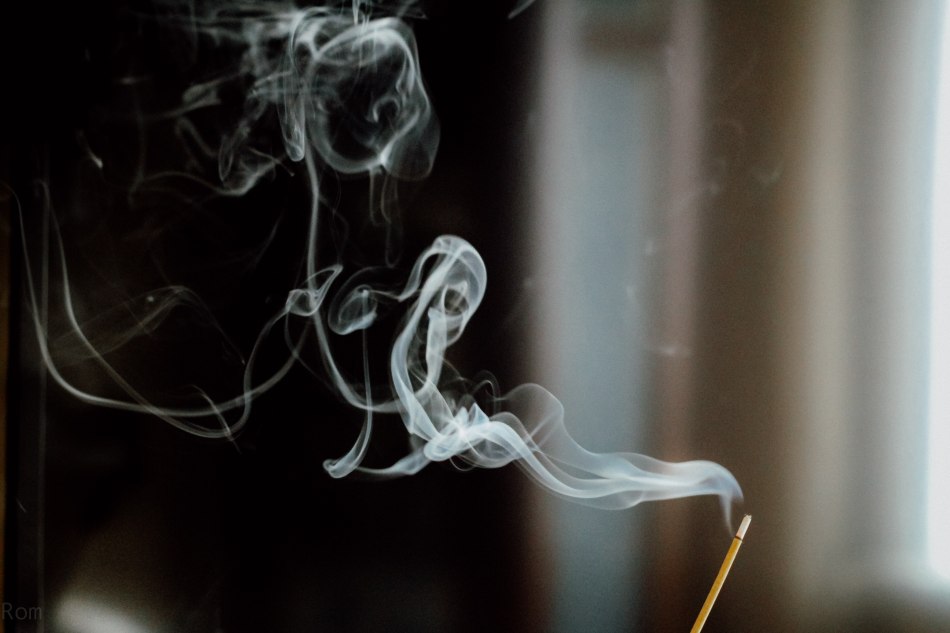 Photo by Daria Rom on Unsplash