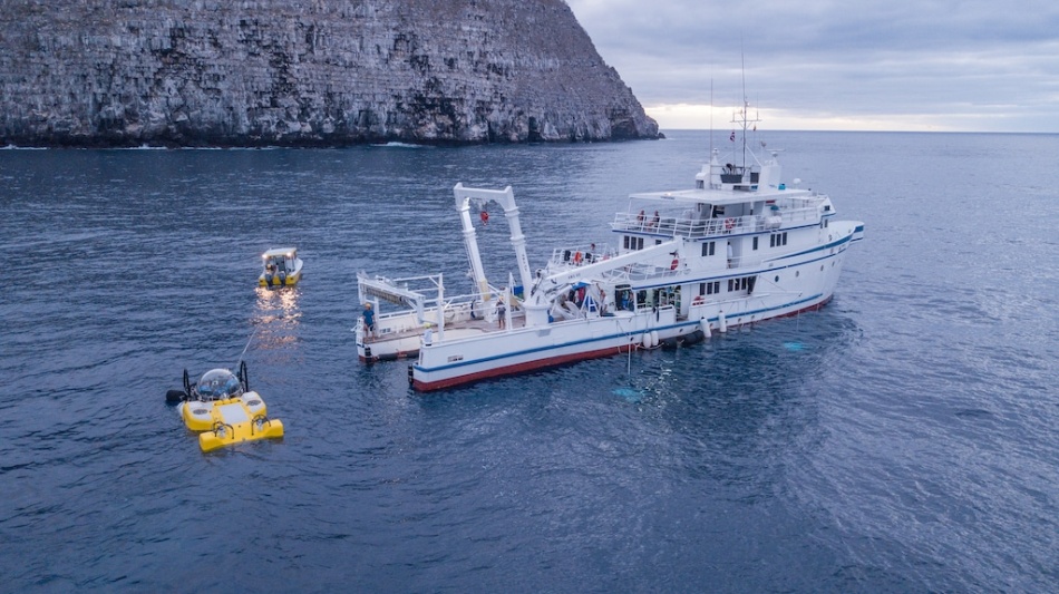 Rolex : un nouveau "Hope Spot" aux Açores pour protéger l'écosystème sous-marin