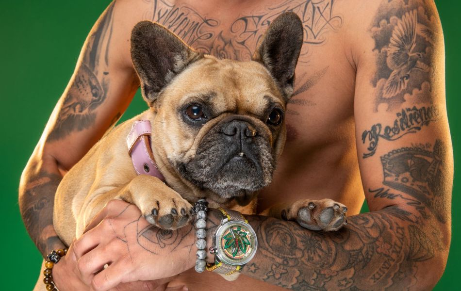 Bomberg BB01 Automatic Cure the BullDog : à l'heure relax Bomberg BB01 Automatic Cure the BullDog : à l'heure relax