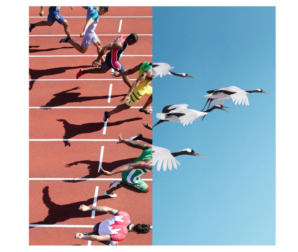 JO de Tokyo : Omega, retour sur une campagne de communication originale et réussie JO de Tokyo : Omega, retour sur une campagne de communication originale et réussie