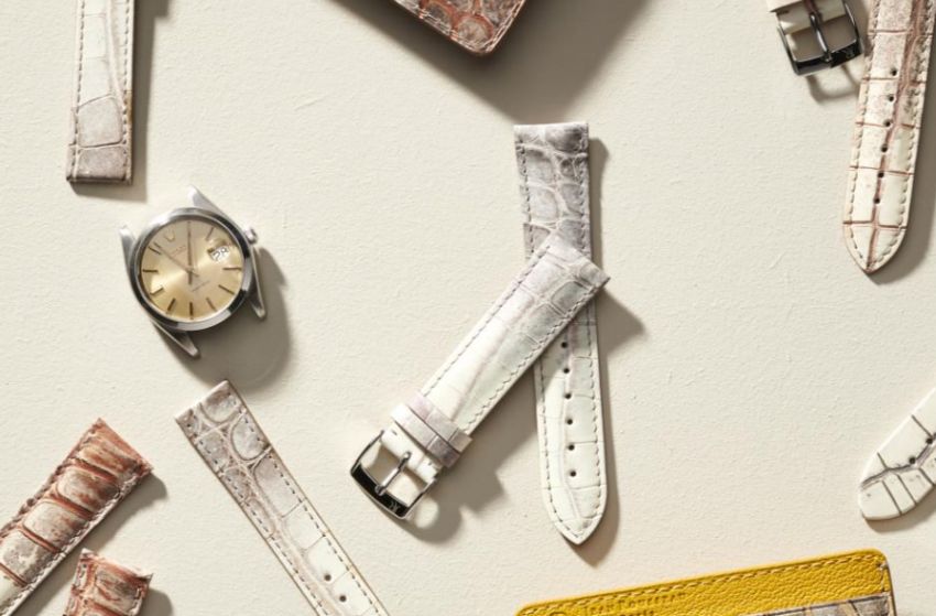 Jean Rousseau : Lumières, une nouvelle collection de bracelets-montres en alligator naturel