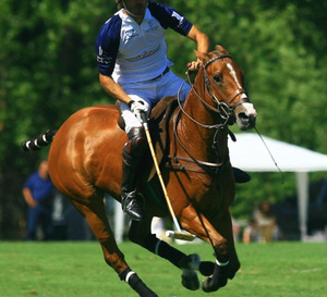 Jaeger-LeCoultre : novembre 2010, une nouvelle saison de polo en Argentine