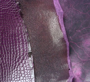 Violet : la grande tendance couleur de l'été vue par ABP Concept