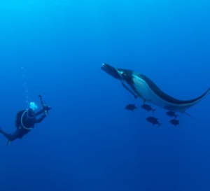 Blancpain s'associe à la PADI pour contribuer à protéger un tiers des océans d'ici 2030