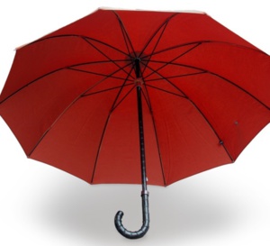 ABP : des parapluies et des cannes gainés d'alligator