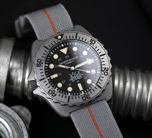 Jacques Bianchi JB 300 Poulpro : le retour du poulpe !