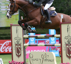 Cuervo y Sobrinos partenaire officiel du 98ème concours international de saut à cheval (Madrid)