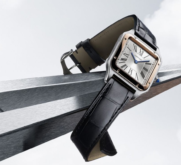 montre cartier santos dumont occasion