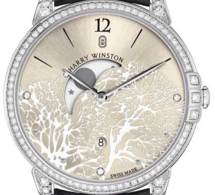 Harry Winston Midnight Moon Phase : lune romantique