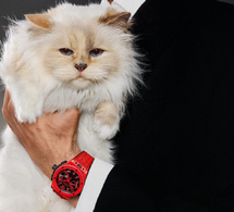Choupette, la chatte de Karl Lagerfeld, star de la nouvelle campagne de publicité d'Hublot
