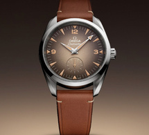 Omega : une nouvelle Railmaster en 38 mm avec cadrans fumés