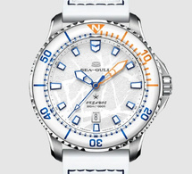 Sea-Gull Ocean Series Pro Ice Wing : une plongeuse chinoise en titane étanche à 300 mètres
